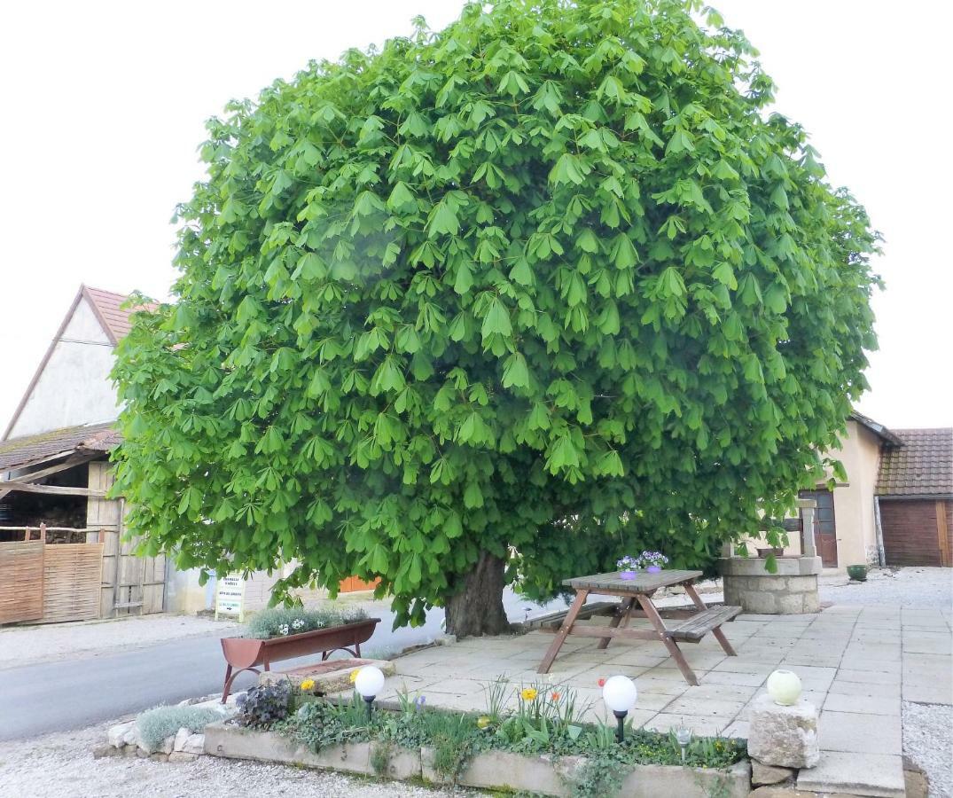 Chambres D'Hote Le Marronnier Champrougier Bagian luar foto
